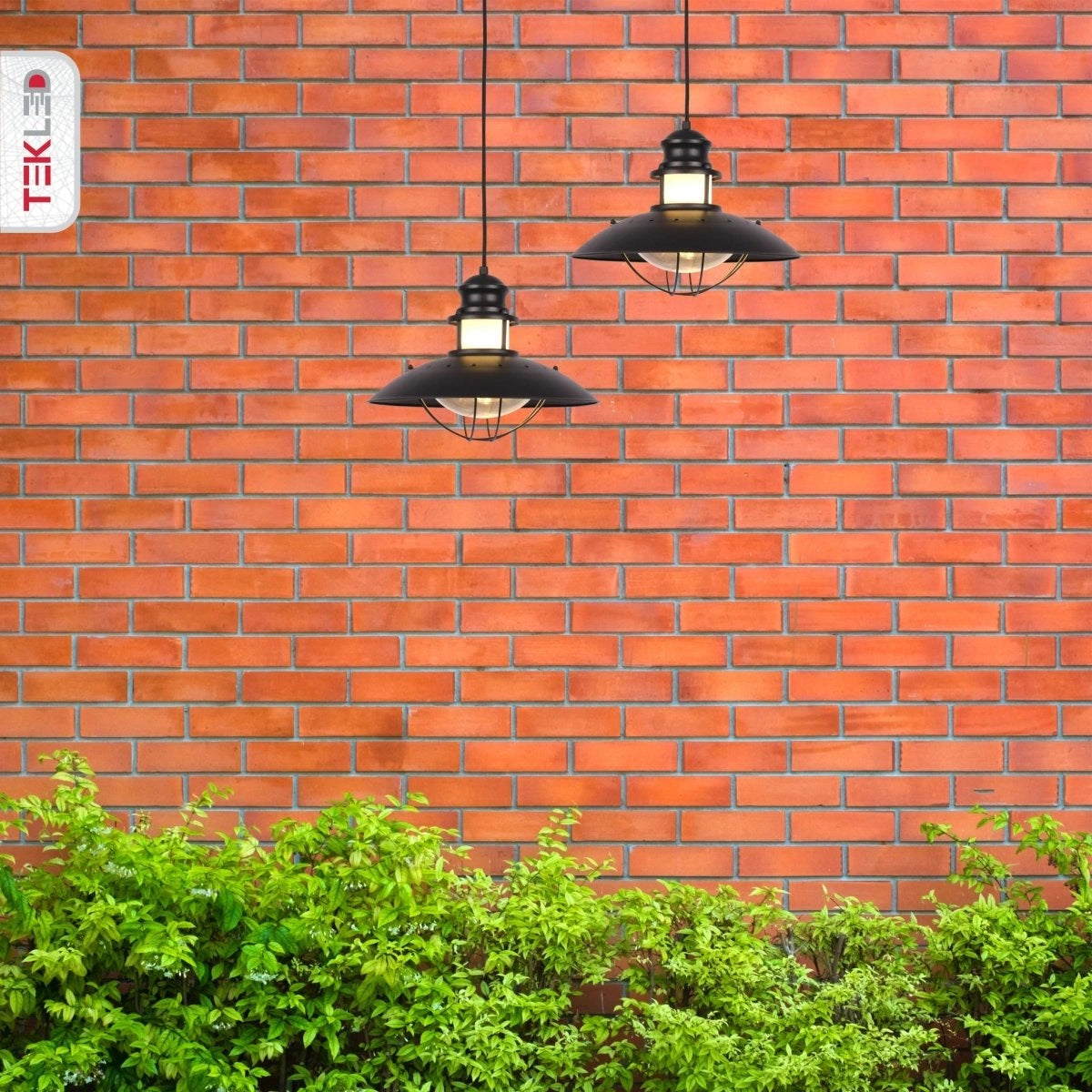 More exterior usage of Sunflower Pendant Ceiling Lamp Matt Black Clear Glass E27