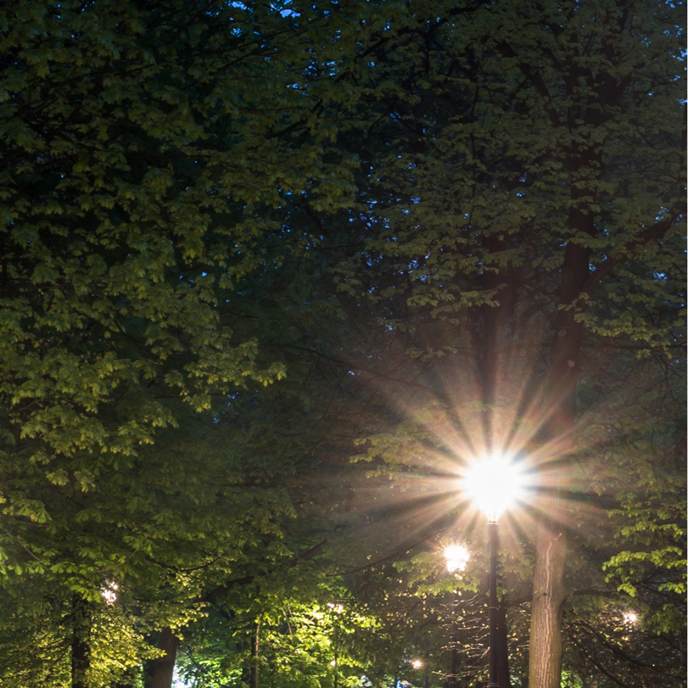 Lámpara de jardín LED tipo UFO, ideal para exteriores, perfecta para iluminar caminos en decoraciones modernas.