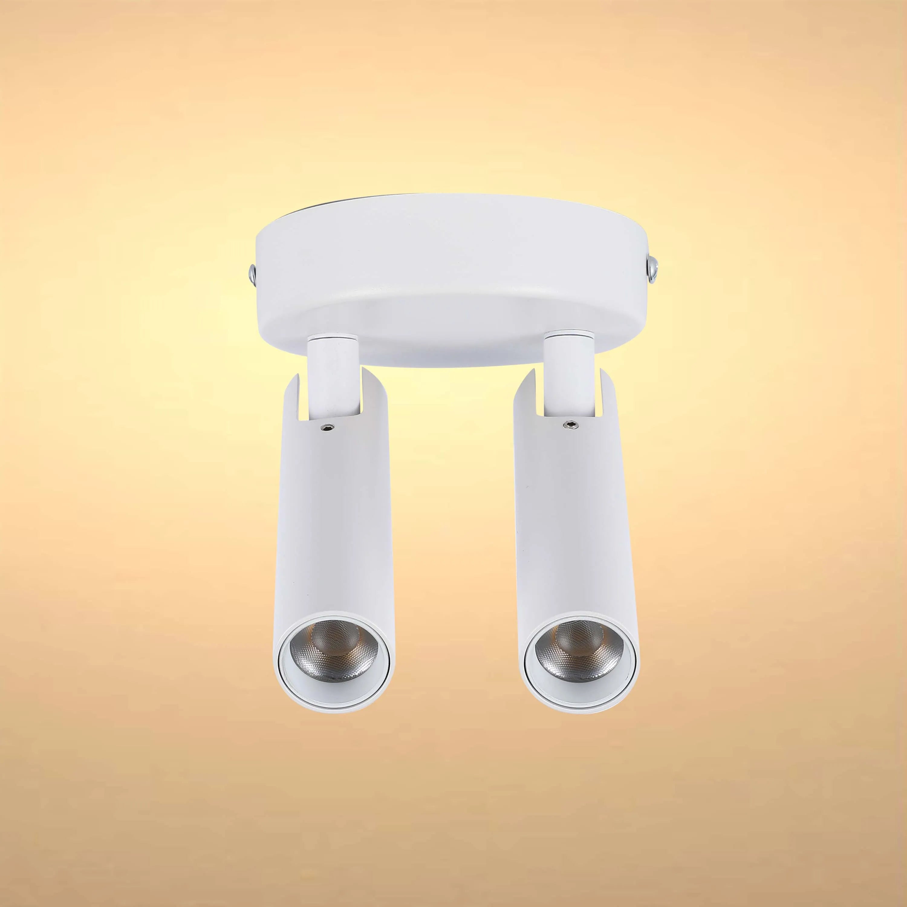 Spotlight moderno en blanco y negro de 2 luces