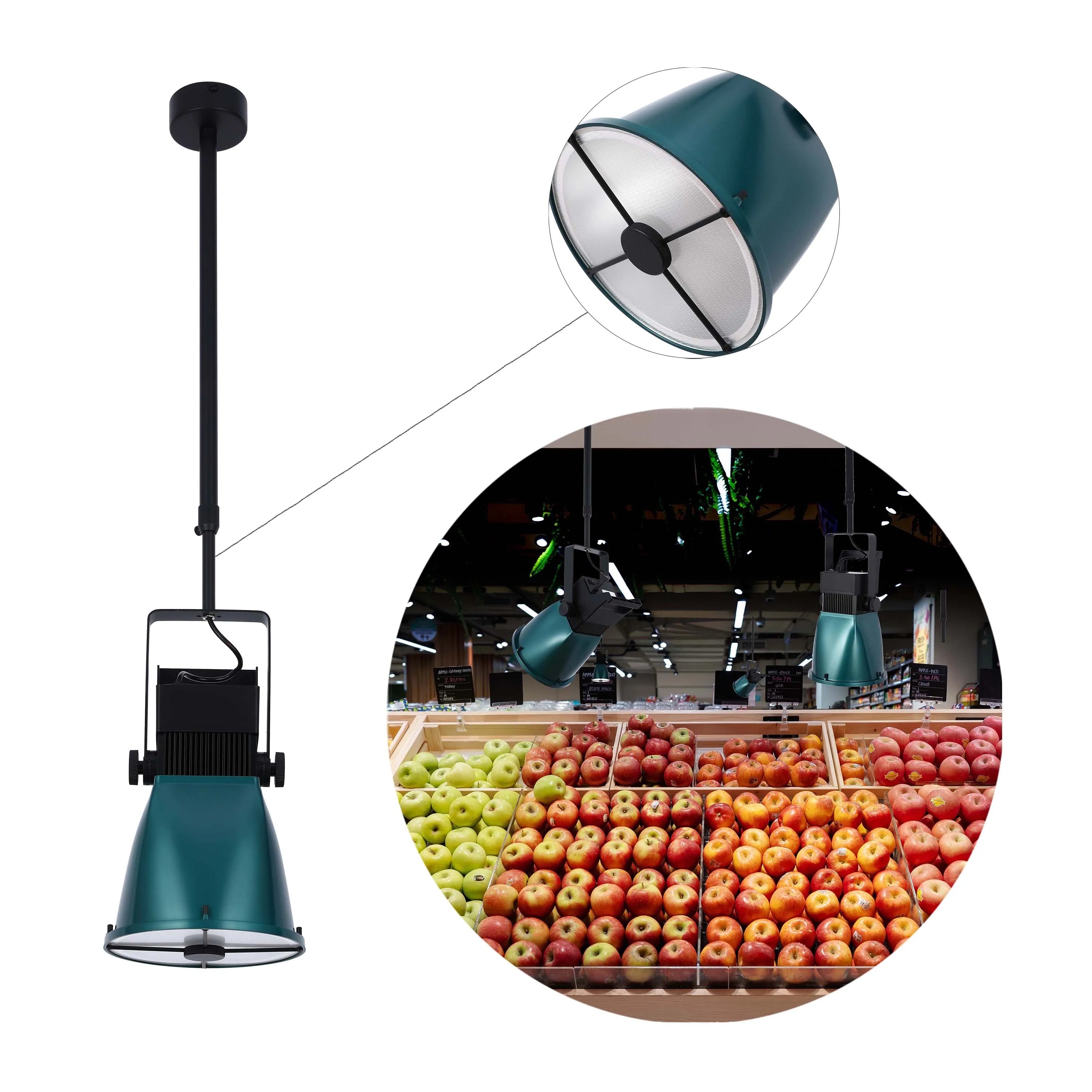 Lámpara colgante con foco ajustable verde azulado con diseño de cruz y control remoto