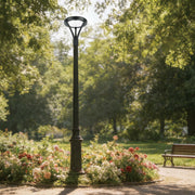 Luminaria LED comercial para exteriores, Punta de poste, seleccionable entre 60W/80W/100W y con 3 temperaturas de color (CCT), protección IP66.