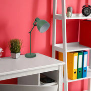 Lámpara de Escritorio con Brazo Ajustable