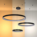 Luz de Techo Moderna TEKLED Aurora Flow Lámpara Colgante de Techo Moderna LED Dinámica (3 Aros Personalizables, CCT Ajustable) - Negro - 159-18169