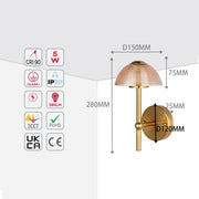 Lámpara de pared de cristal en forma de hongo – LED integrado de 5W, con interruptor para 3 temperaturas de color (3CCT)