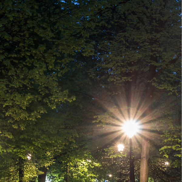 Lámpara de jardín LED tipo UFO, ideal para exteriores, perfecta para iluminar caminos en decoraciones modernas.