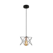 Black metal caged pendant light with e27 main