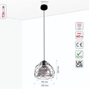 Size and specs of Smoky Glass Dome Black Metal Cage Pendant Light with E27 Fitting | TEKLED 156-19480