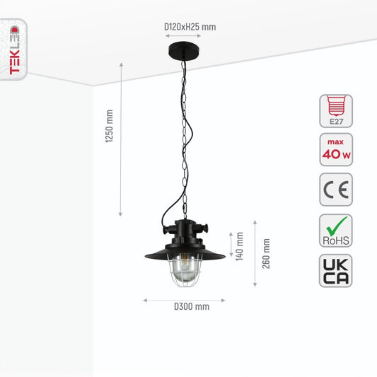 Size and specs of Black Nautical Industrial Caged Flat Shade Glass Metal Ceiling Pendant Light with E27 Fitting | TEKLED 150-18366