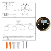 User manual for S-Curve Antique Brass and Dimpled Amber Globe Light | TEKLED 159-179981