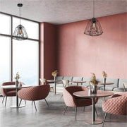 More interior usage of Black Wire Cage Pendant Ceiling Light with E27 | TEKLED 150-18087